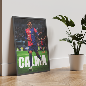 Постер "CALMA"