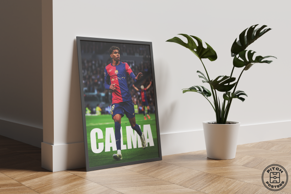 Постер "CALMA"