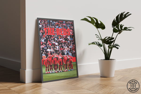Постер "THE REDS"