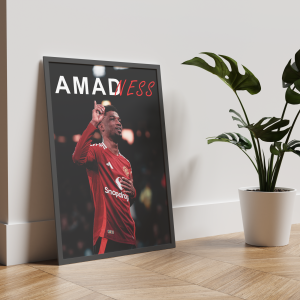 Постер "AMADNESS"