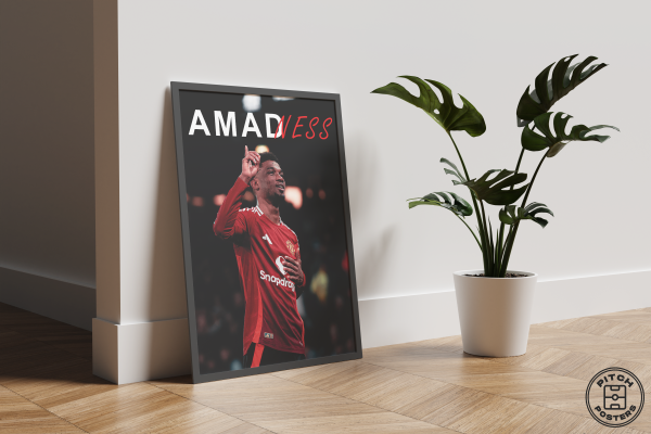 Постер "AMADNESS"