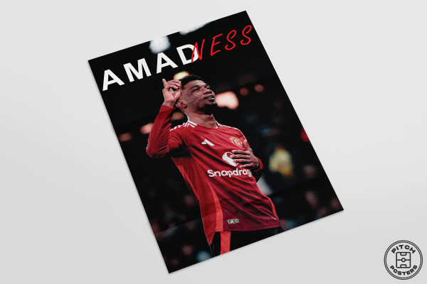 Постер "AMADNESS" - Image 3