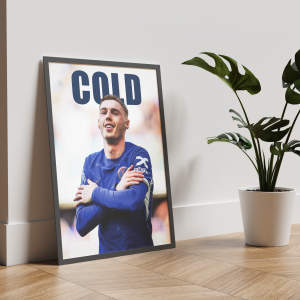 Постер "COLD"