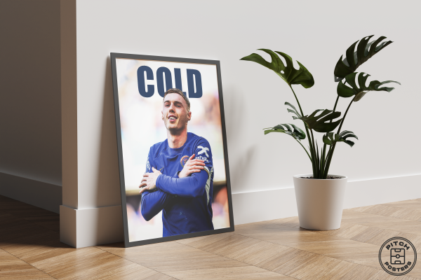 Постер "COLD"