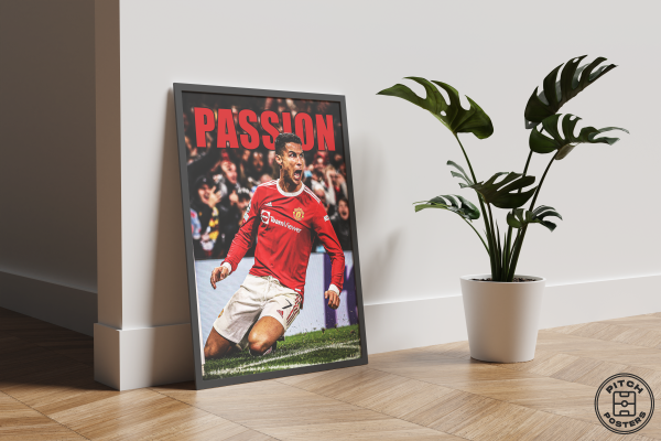 Постер "PASSION"