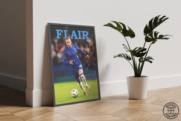 Постер "FLAIR"