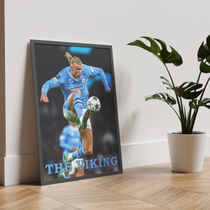 Постер "THE VIKING"