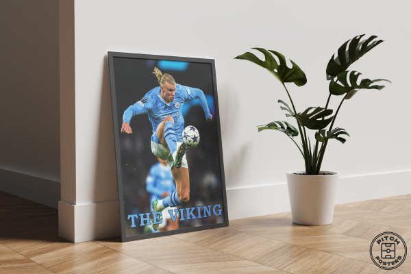 Постер "THE VIKING"