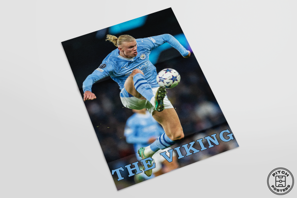 Постер "THE VIKING" - Image 3